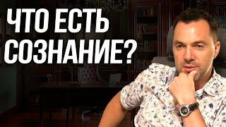 Что есть сознание? - Алексей Арестович