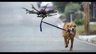 DOGS VS DRONES COMPILATION!