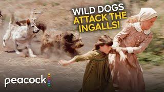 Little House on the Prairie | Mary Ingalls Protects the Kids From a Wild Pack of Dogs