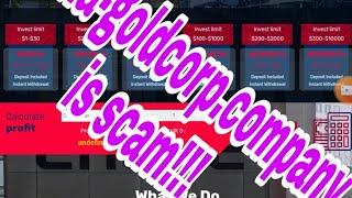 china-goldcorp.company is SCAM !!! Avoid investing here    Hyips daily