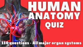 Complete Human Anatomy quiz | Can You Answer these Questions about the Human Body?