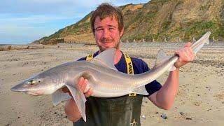 The BEST BEACH FISHING We've Caught On Camera!