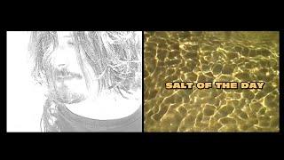 The Doublejumps - Salt Of The Day (Official Music Video)