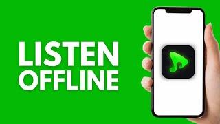 How to Listen to Music Offline on eSound (2024)