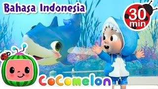 Baby Shark dan Kapal Selam | CoComelon Bahasa Indonesia - Lagu Anak Anak | Nursery Rhymes