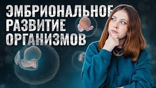 Эмбриональное развитие организмов | Биология ЕГЭ для 10 класса | Биология ЕГЭ для 10 класса | Умскул