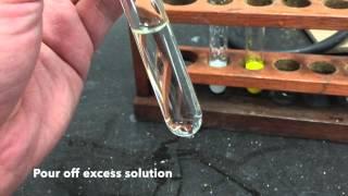 Anion Test - Sulfate Ions