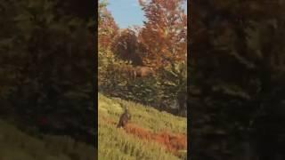 Bison fly now?  theHunter: Call of the Wild.