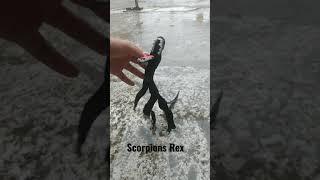 Scorpions Rex