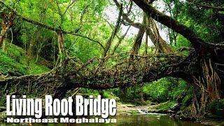 শিলং ভ্রমণ - Dawki Waterfall - Living Root Bridge  - Meghalaya Tour - PART -02