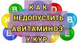 Весенний авитаминоз у кур: как недопустить?