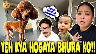 Yeh Kya Hogaya Bhura Ko  | Bharti Singh | Haarsh Limbachiyaa | Golla