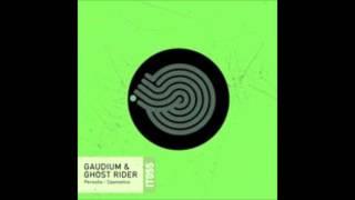 Gaudium & Ghost Rider - Persona