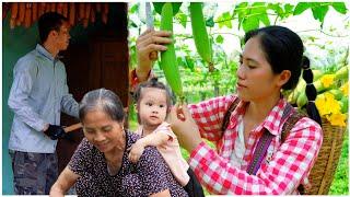 The husband beautifies the kitchen, the wife picks luffa to sell. Food of a childhood