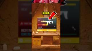 The NEW MCW SMG is the KING of Rebirth Island