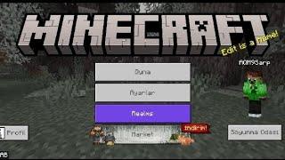 minecraft 2 kişilik nasıl oynanır?