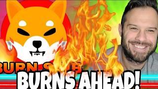 Shiba Inu Coin | Major SHIB Burns Ahead According To Lucie And Team!