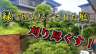 【草刈り】本当に緑が全てなくなります【伐採】