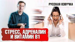 Стресс, адреналин и витамин В1 (русская озвучка)