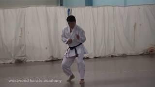 Toshihito Kokubun Sensei - Footwork