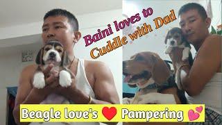 Spending time with Beagle family #viralvideos#trending