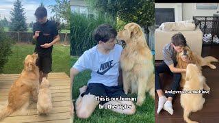 Dogs Are Obsessed with Human Brother