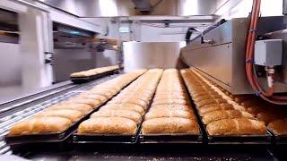 Automated Bread Production in Bakery on Modern Machines