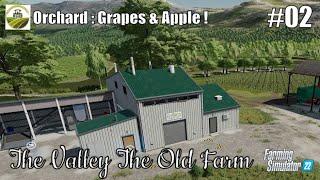 Creating a VINEYARD & Planting APPLE Trees | #02 THE VALLEY THE OLD FARM | FS22 | PS5/HD