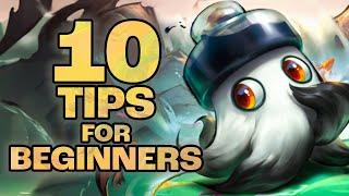 10 Must Known Tips For Set 11 Beginners