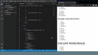 CSS List Style Type Property  | List Style Image Property CSS