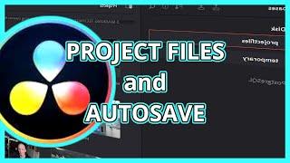 Autosave in Davinci Resolve