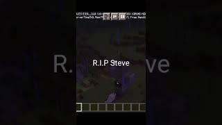 R.I.P Steve in Minecraft.....