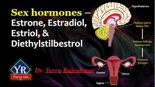 Sex hormones - Estrone, Estradiol, Estriol, & Diethylstilbestrol | YR Pharma Tube | Dr. Rajeshwar