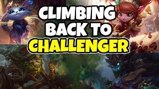 PLAYING OFF-META SUPPORTS TO CLIMB BACK TO CHALLENGER