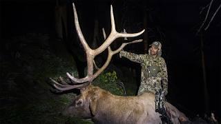 Backcountry Dreams Come True // Journey of a Public Land Archery Elk Hunt