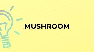 What is the meaning of the word MUSHROOM?