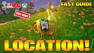 Where to find ALL Golden Llamas Location in Fortnite! (How to Get Golden Llamas Location)