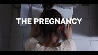 THE PREGNANCY JOURNEY