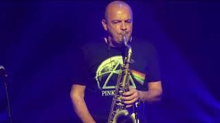 Shine on you crazy Diamond - Sax Solo - Eclipse Pink Floyd Tribute Band