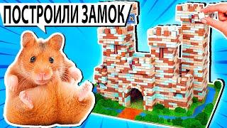 Лабиринт для хомяков в Замке | Каменный замок своими руками | DIY