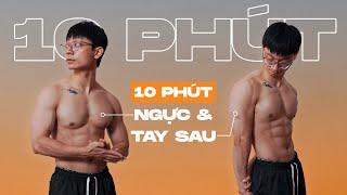 DỄ // 10 Phút tập NGỰC & TAY SAU ngay tại nhà (0 dụng cụ) | Chest & Triceps Home Workout | SHINPHAMM