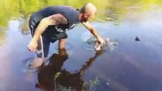 Guy Catches Fish With Bare Hands