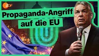 Orbáns Kampf für ein rechts-populistisches Europa | Die Spur