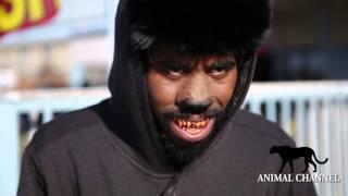 G-Mo Skee - The Honey Badger (Official Video)