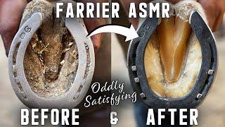 Full restoration-farrier ASMR-Oddly Satisfying