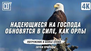 5 ЧАСОВ ИСЦЕЛЯЮЩЕГО СЛОВА | Включайте на весь экран и наполните свой дом красотой природы и Словом