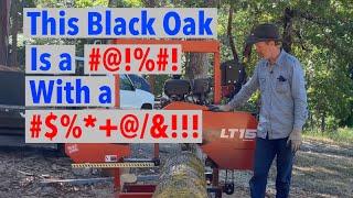 To Mill or Not To Mill Black Oak That is the Question