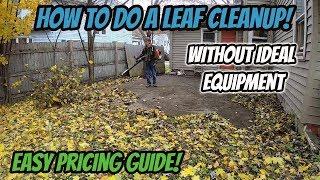 How to Do a Leaf Cleanup Without Ideal Equipment! | How to Price a Cleanup Job!