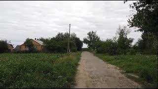 Западная Украина село и лесные черешни