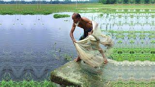 Amazing Cast Net Fishing Video - Best Fishing Video - Traditional Village Fishing Video